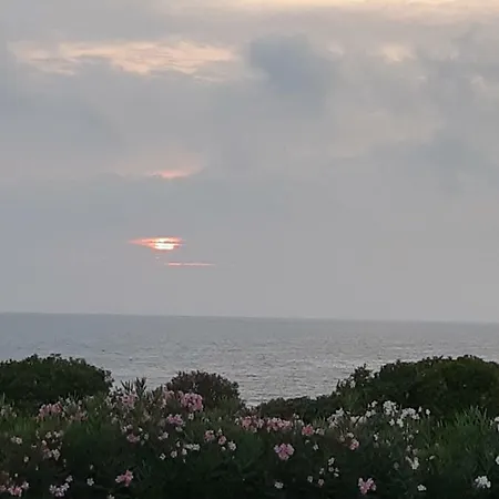 Al Mare 奇维塔韦基亚